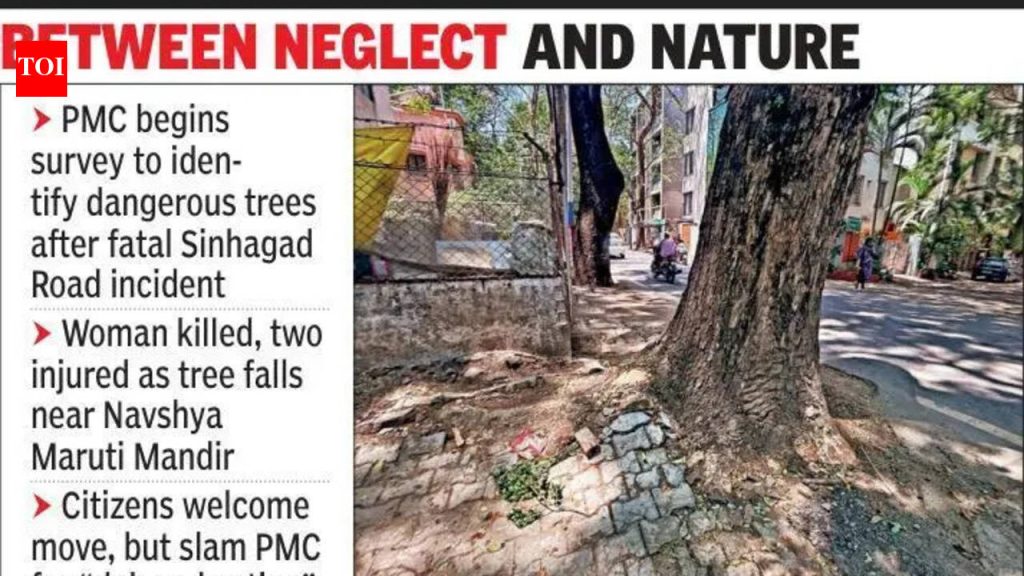 पीएमसी धोकादायक झाडांचे सर्वेक्षण करणार, कार्यकर्त्यांनी कारवाईला उशीर केला
