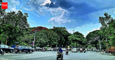 पुण्यात कडक उन्हामुळे डोळे, किडनी आणि आतड्यांच्या आजारांमध्ये वाढ झाली आहे