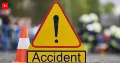 वाडेबोल्हाई रोड अपघातात 14 वर्षीय मुलीचा मृत्यू | पुणे बातम्या
