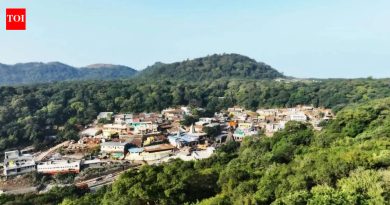 भीमाशंकर प्रकल्पामुळे प्रदेशाचा कायापालट होईल, असे उपमुख्यमंत्री सुनेत्रा म्हणाल्या