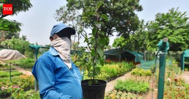 या उन्हाळ्यात पाण्याचा पुरवठा कमी होत असताना गार्डन नर्सरींना उन्हाचा सामना करावा लागत आहे