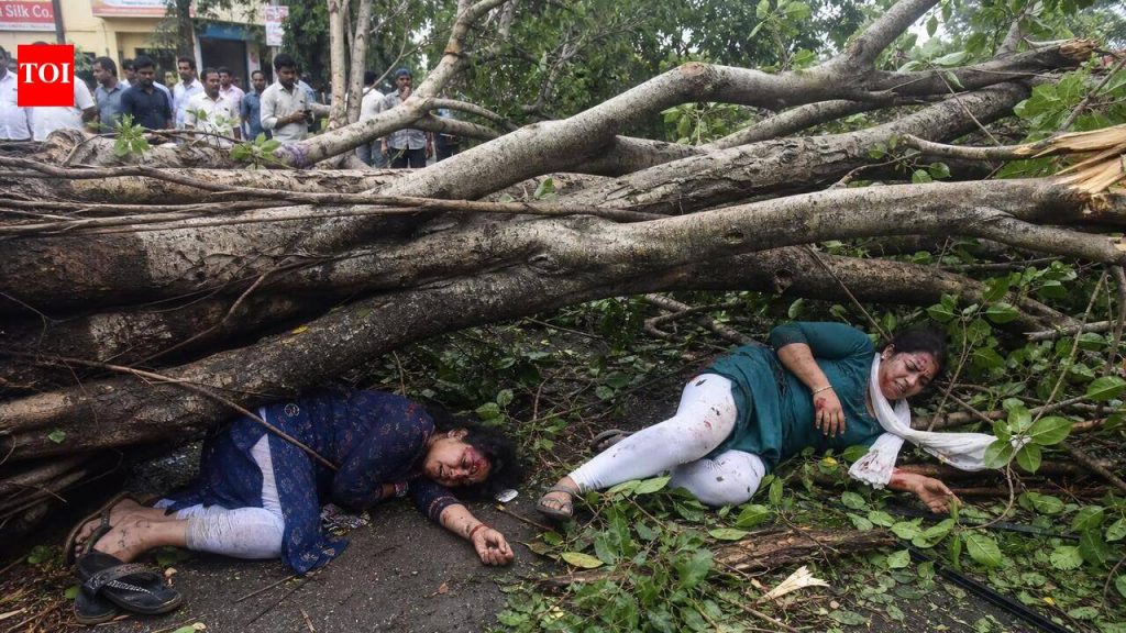 जनता वसाहत येथे वटवृक्ष अंगावर पडल्याने दोन महिला जखमी | पुणे बातम्या